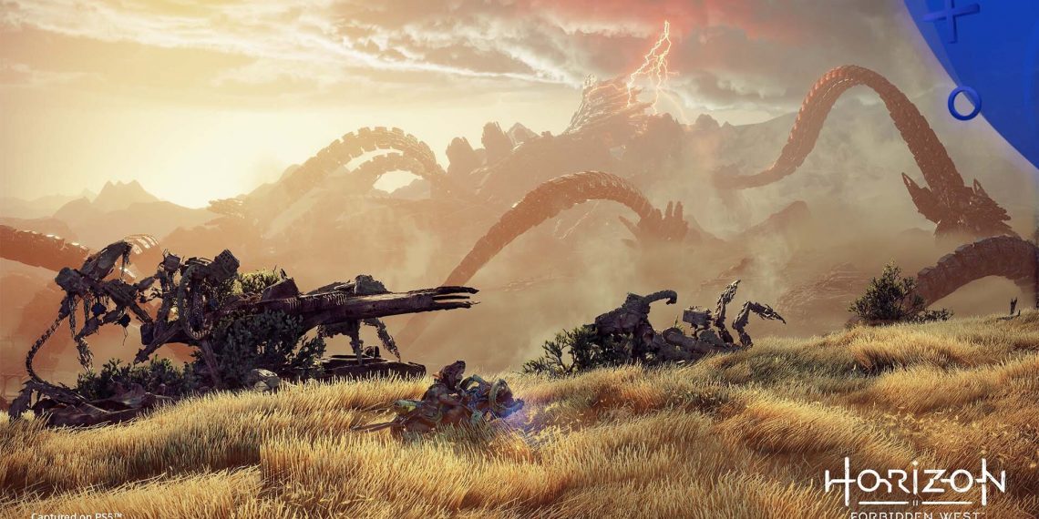 Guerrilla Games Multijoueur