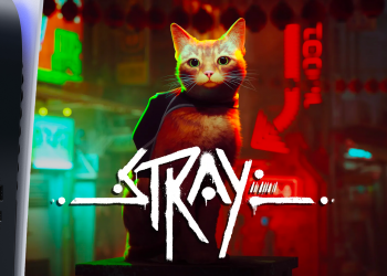 Test Stray PS5 - vignette