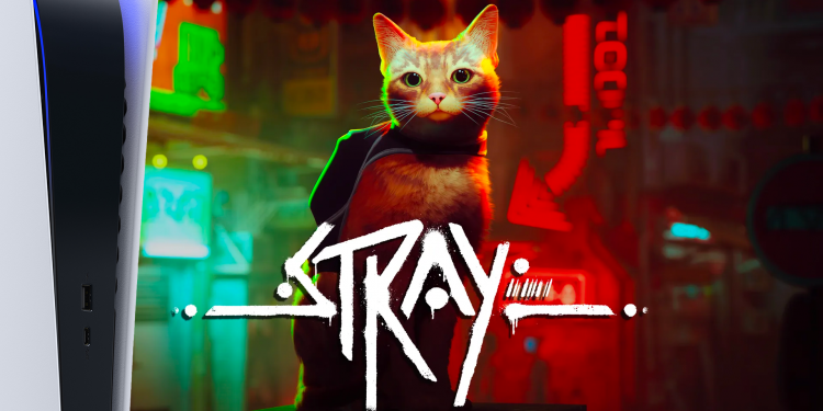 Test Stray PS5 - vignette