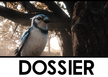 Dossier : L’ornithologie de Red Dead Redemption II