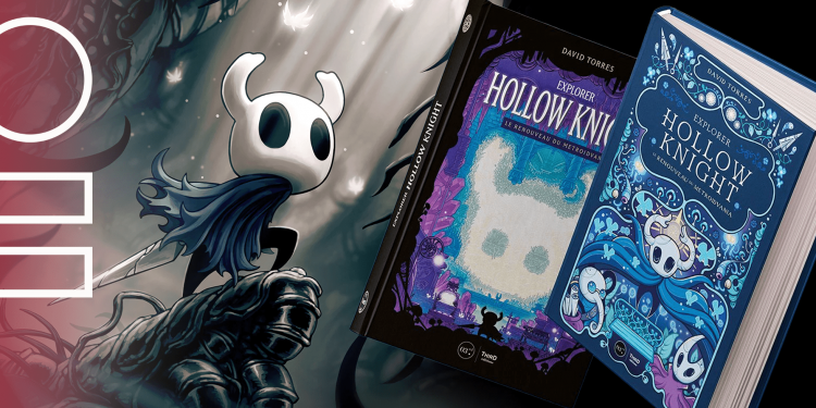 Conversation avec David Torres, auteur du livre : « Explorer Hollow Knight »